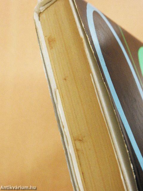 A törökfejes kopja