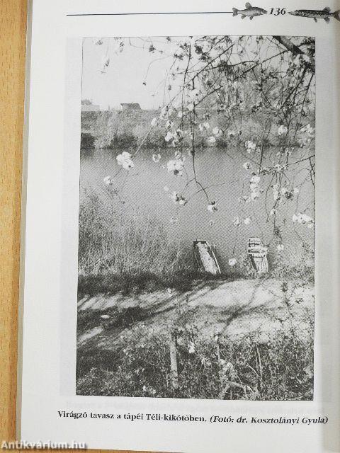 Évtizedek, horgászbottal