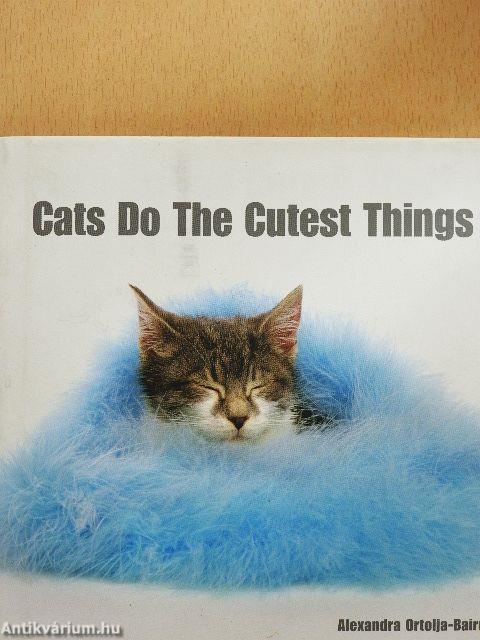 Cats Do The Cutest Things