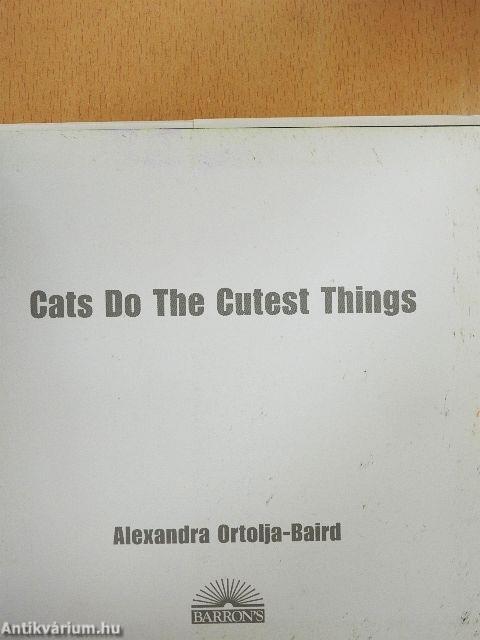 Cats Do The Cutest Things