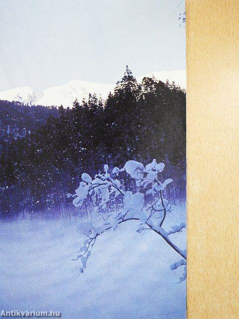 Du bist zu uns gekommen