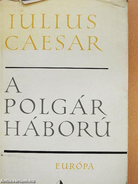 A polgárháború