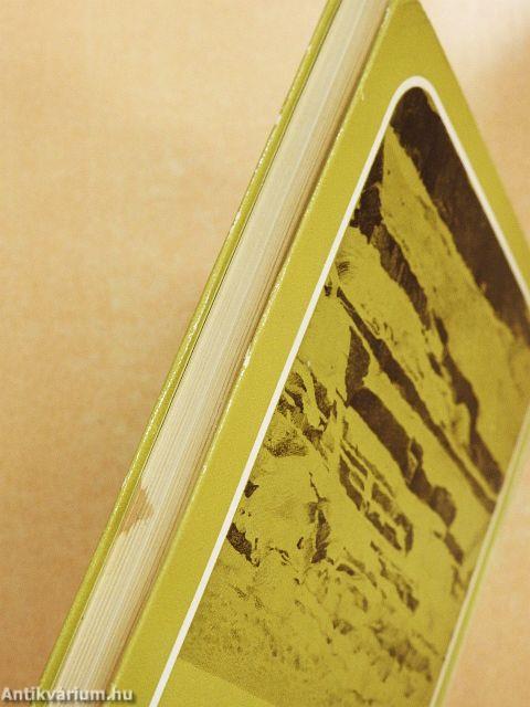 Egy kőkori település Közép-Ázsiában: Dzsejtun