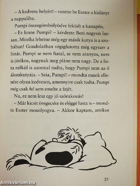 Bori és az eltűnt kutya