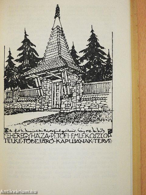 A legszebb élet, amit magamnak el tudtam képzelni