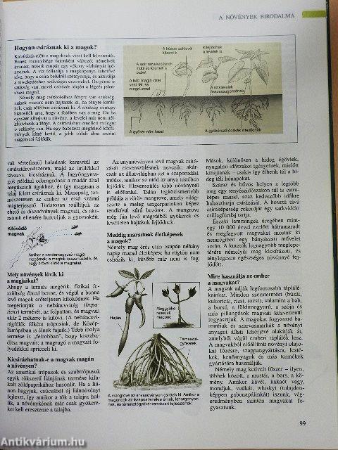 A természet ABC-je