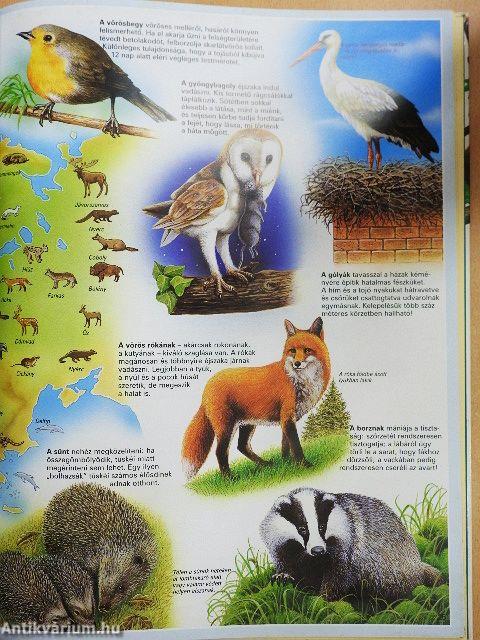 Atlasz az állatokról