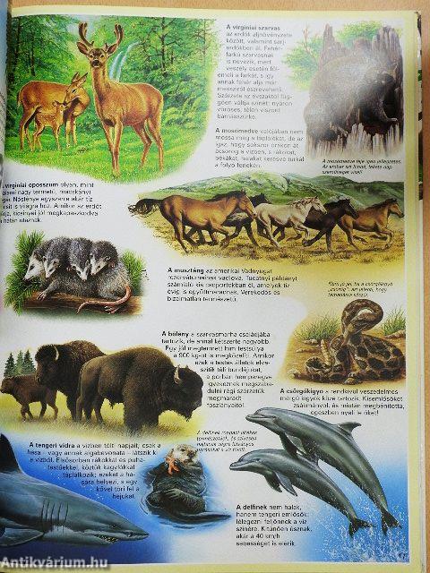 Atlasz az állatokról