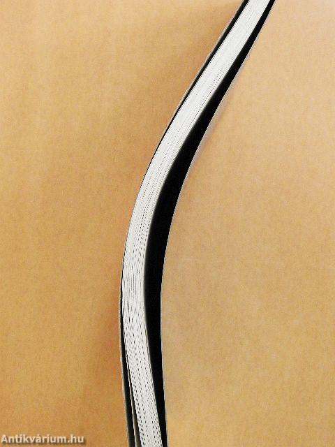 Matematikai agymozgató