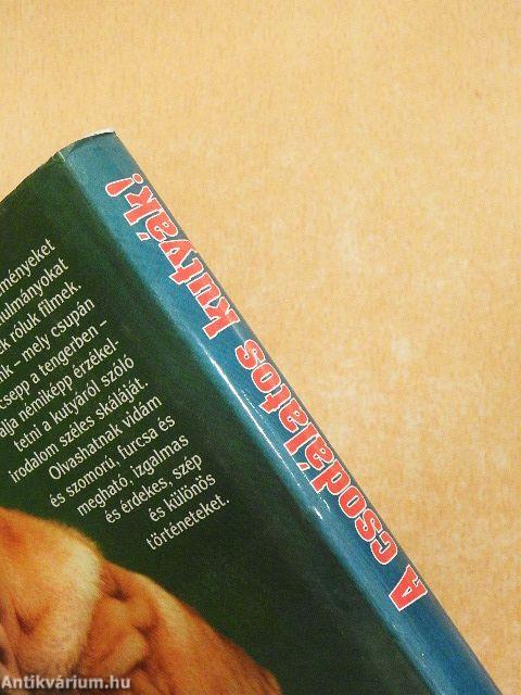 A csodálatos kutyák!