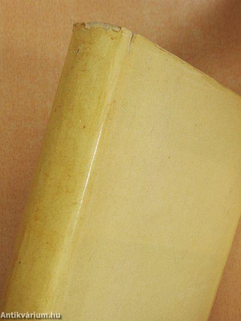 A párizsi Notre Dame