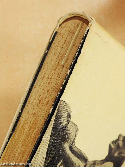 A párizsi Notre Dame