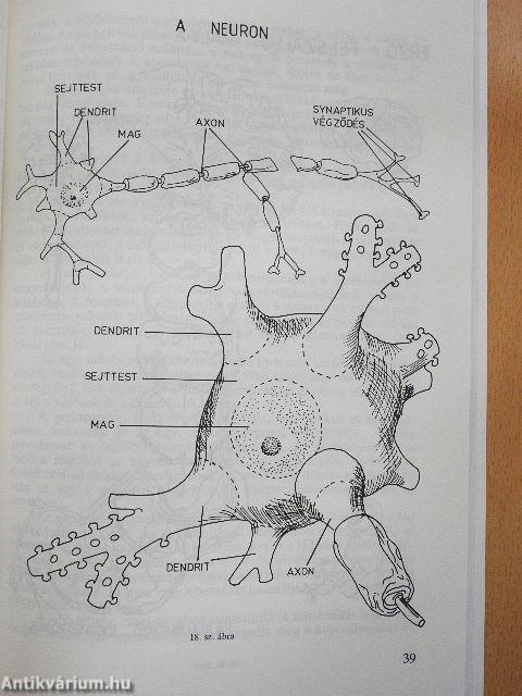 Lelkünk tükre az írás