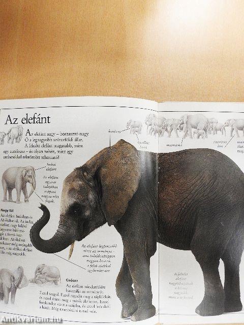 Csudálatos emlősök