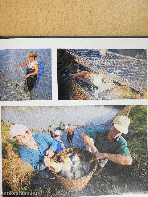 Szeretettel vár Csongrád megye