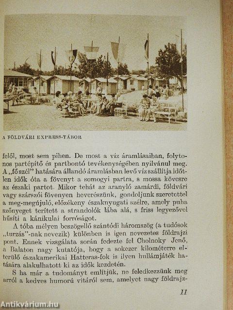 Balatonföldvár és környéke