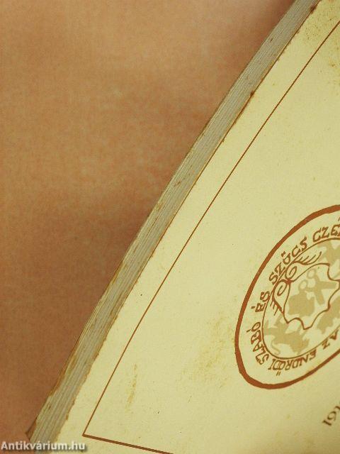 Az endrődi kézműipar, kereskedelem és a közlekedés a századfordulótól