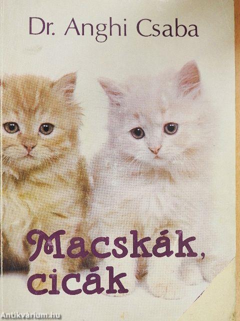 Macskák, cicák