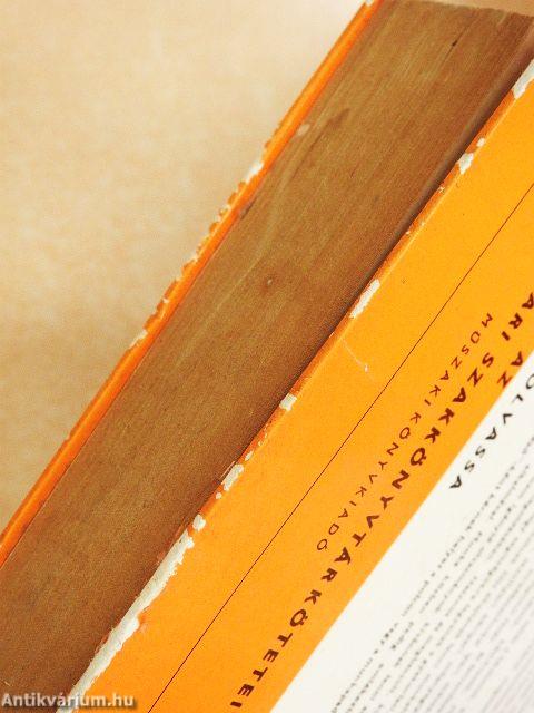 Víz-csatorna-gáz 1. (töredék)