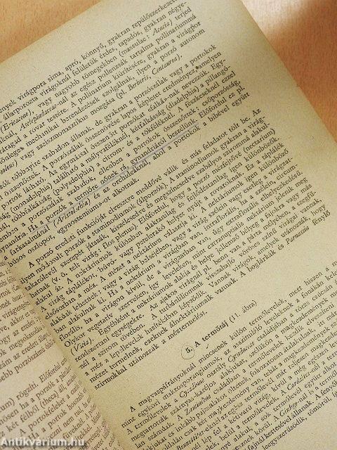 Fejlődéstörténeti növényrendszertan