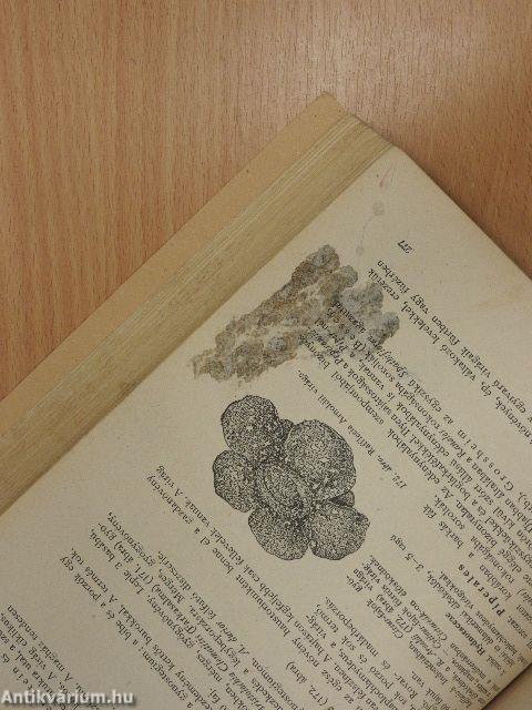 Fejlődéstörténeti növényrendszertan