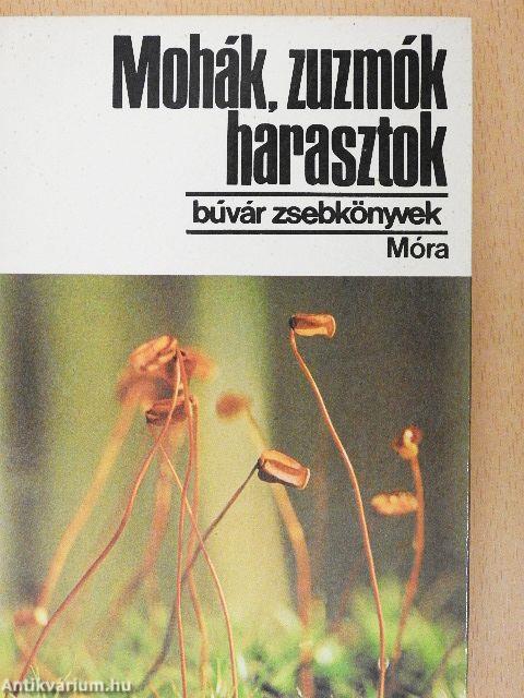 Mohák, zuzmók, harasztok