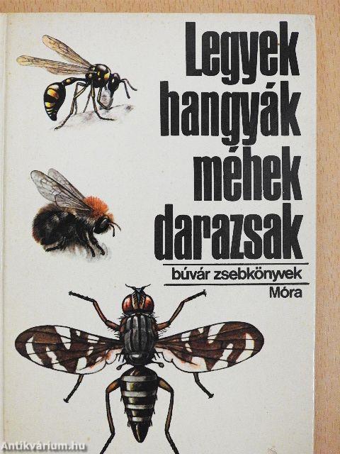 Legyek, hangyák, méhek, darazsak