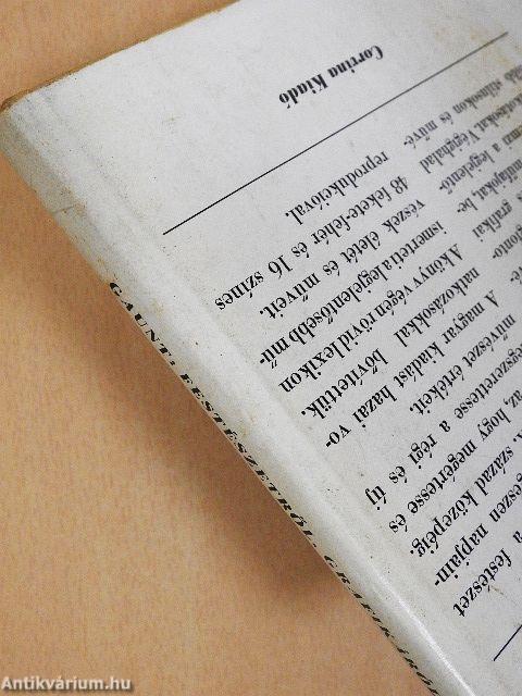 Festészetről, grafikáról