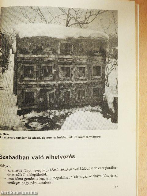 Nyúlhústermelés a kisgazdaságban