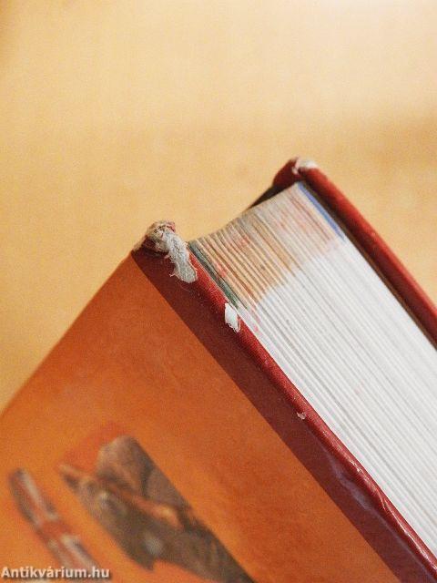 Angol-magyar/magyar-angol gyerekszótár