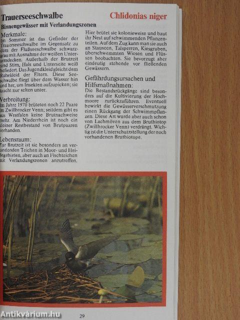 Vom Aussterben bedroht!