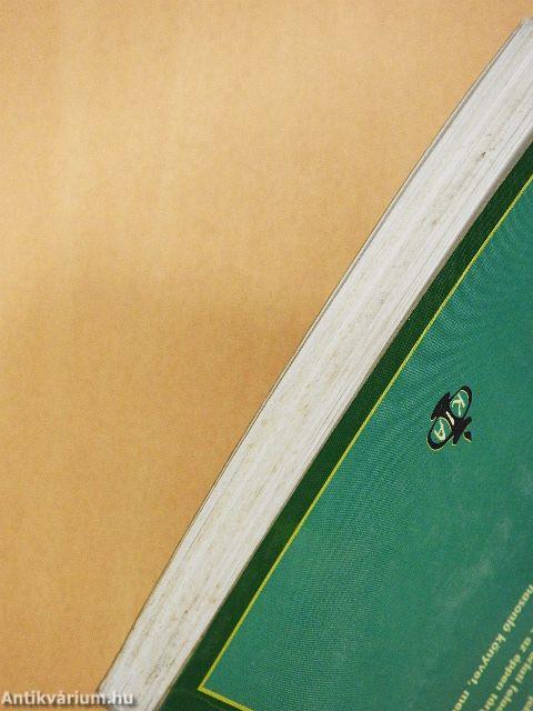 A férfi a Biblia tükrében