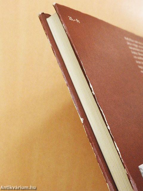 Bujdosó nyelvemlékeink