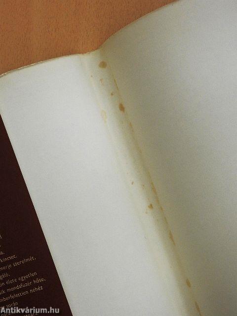 Bujdosó nyelvemlékeink