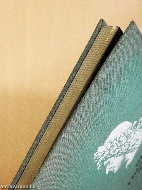 A magyar művészet története