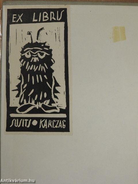 Az eltűnt személyiség nyomában