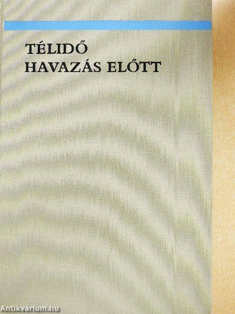 Télidő havazás előtt