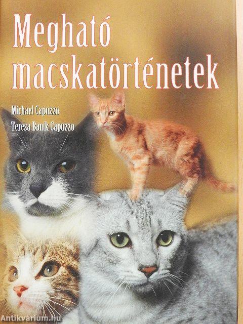 Megható macskatörténetek