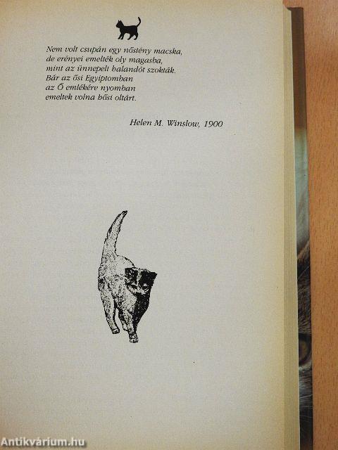 Megható macskatörténetek