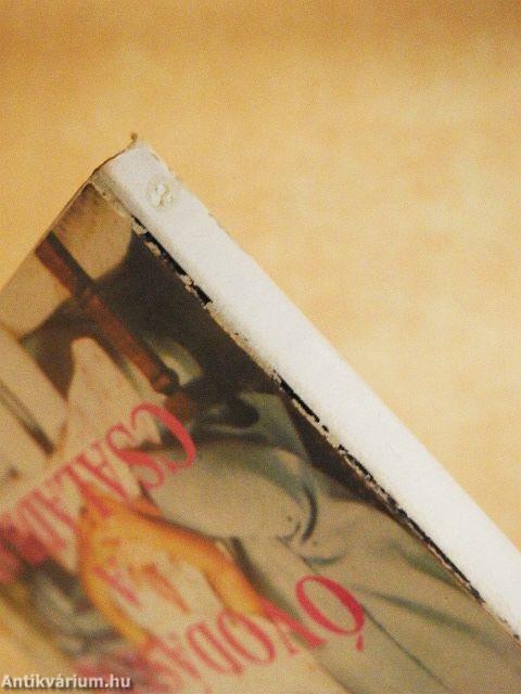 Óvodásunk a családban