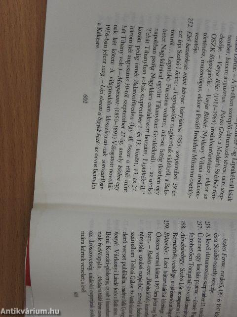 Szabó Lőrinc és felesége levelezése II.