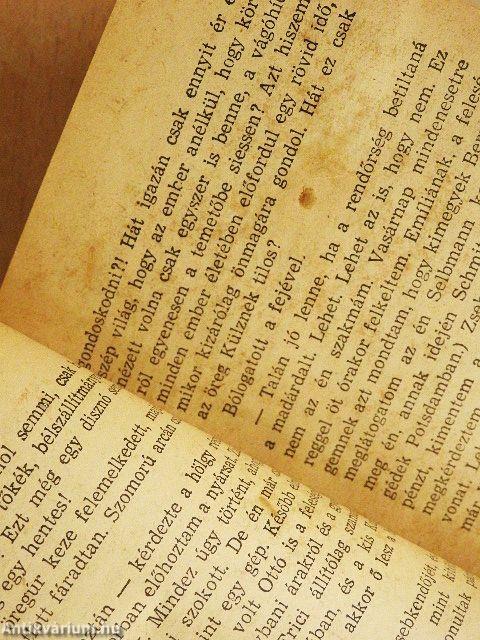 Az eltűnt miniatűr