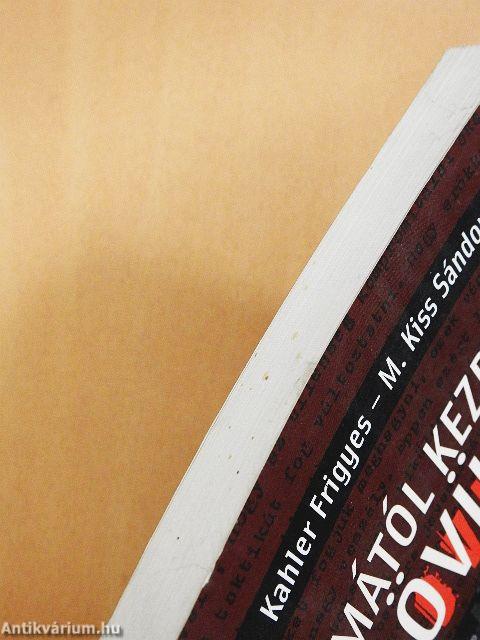 "Mától kezdve lövünk"