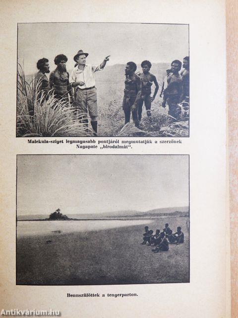 A kannibálok szigetén