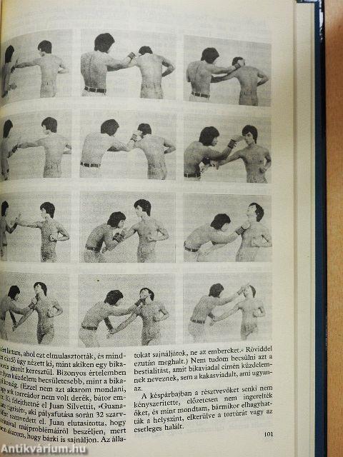 Kung fu-technikák és edzésmódszerek