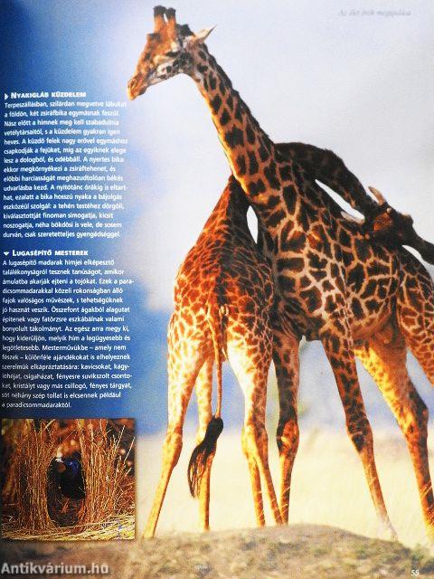 A természet titokzatos világa