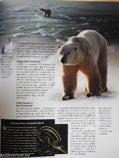 A természet titokzatos világa