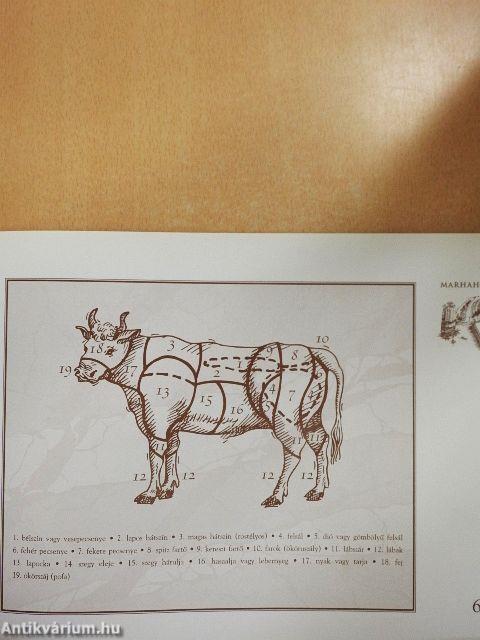 MOL-utazás az ízek birodalmában