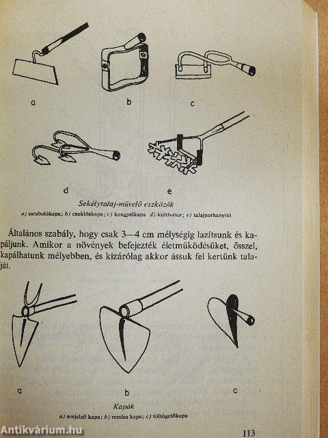 Kiskerti tanácsadó