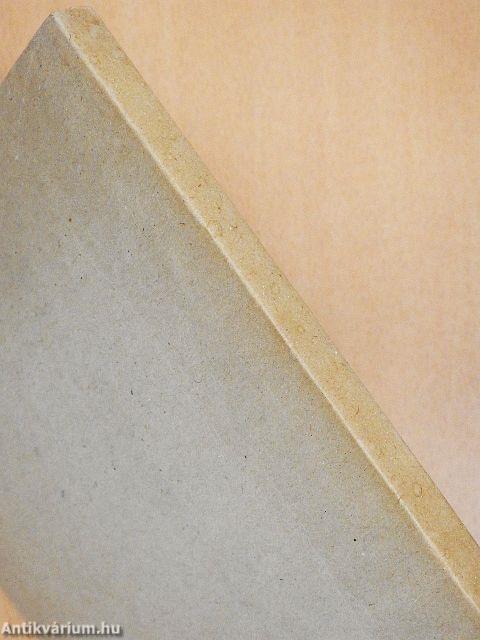 Közép-európai neolitikus temetők szociálarchaeológiai elemzése